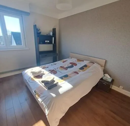 Proche Centre-ville, Parking Gratuit Lejlighed Colmar