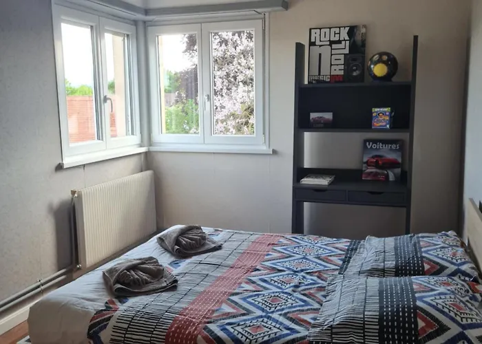 Proche Centre-ville, Parking Gratuit * Colmar